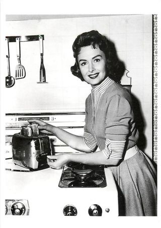Donna Reed Actress In Kitchen With Toaster In 1960 Modern Postcard