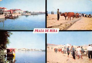 Portugal Praia De Mira Cais Da Lagoa Pescadores Multiviews