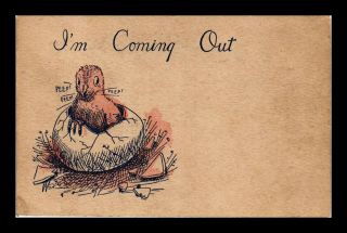 Us Postcard Vintage 1913 Chick Hatching From Egg & Caption " Im Coming Out "
