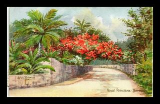 Dr Jim Stamps Royal Poinciana Bermuda View Postcard Air Mail