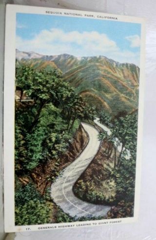 California Ca Sequoia Park Highway Postcard Old Vintage Card View Standard Post