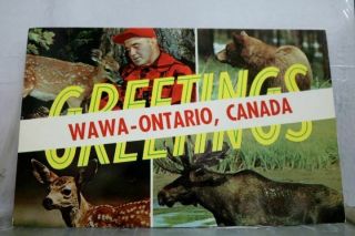 Canada Wawa Ontario Postcard Old Vintage Card View Standard Souvenir Postal Post