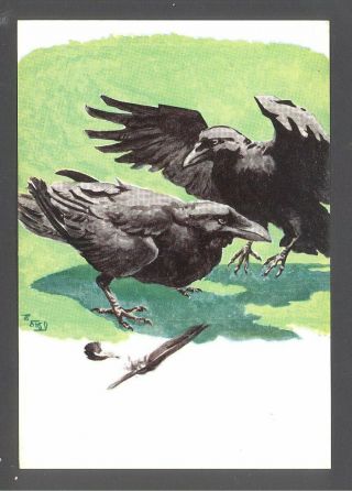 Postcard London Transport Poster 1960 Bus Ravens By Talbot Kelly