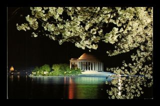 Dr Jim Stamps Us Night View Jefferson Memorial Cherry Blossoms Postcard