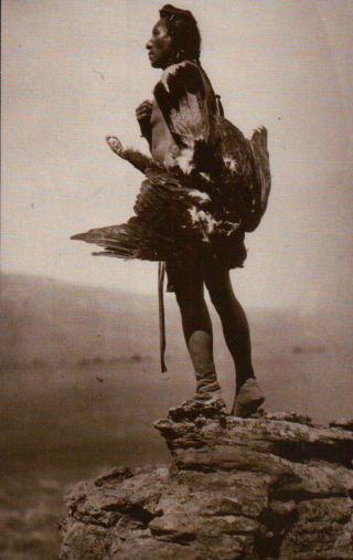 " Eagle Catcher " Hidatsa Indian By Edward Curtis C1908 Native American Postcard