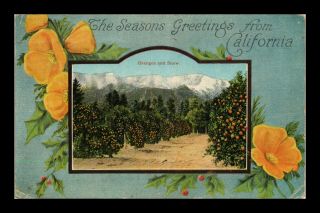 Us Postcard Seasons Greetings From California Orange Grove & Snow