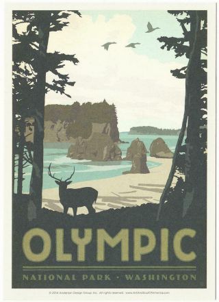 Postcard Of Olympic National Park Washington State Travel Poster Style Postcard