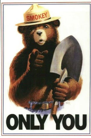 Smokey The Bear,  Forest Fires,  Wildfires - - Postcard