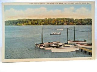1940 Postcard View Of Canadohta Lake From Lake View Inn,  Ruggles Park Pa,  Boats