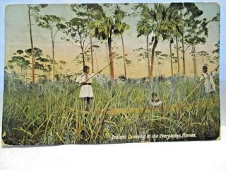 1911 Postcard Indians Canoeing In The Everglades Florida