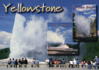 Yellowstone National Park Wyoming Old Faithful Riverside,  Castle Geyser Postcard