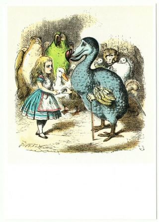 Alice In Wonderland Dodo And Thimble Postcard By John Tenniel 1