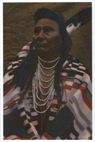 Chief Joseph,  Native American Indian,  Nez Perce,  Feather Etc.  - - Modern Postcard