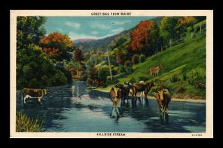 Dr Jim Stamps Us Hillside Stream Greetings From Maine Linen View Postcard