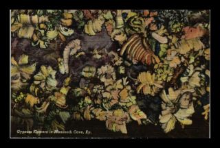 Us Postcard Gypsum Flowers In Mammoth Cave Kentucky Linen