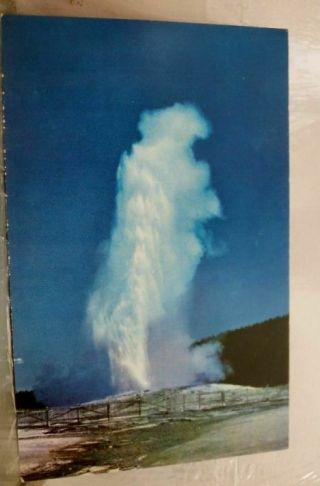 Wyoming Wy Old Faithful Geyser Yellowstone Park Postcard Old Vintage Card View