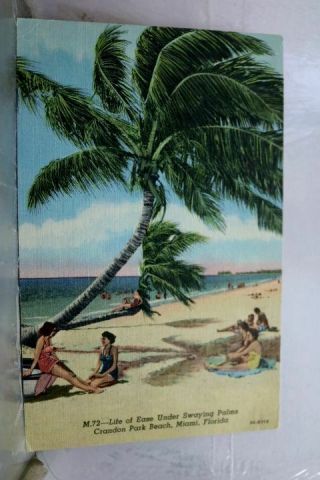 Florida Fl Miami Crandon Park Postcard Old Vintage Card View Standard Souvenir