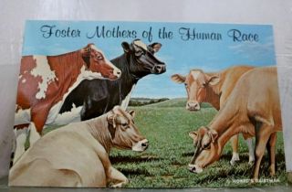 Ad Hoard Dairymand Foster Mothers Human Race Postcard Old Vintage Card View Post
