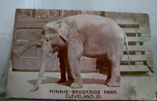 Ohio Oh Cleveland Brookside Park Minnie Postcard Old Vintage Card View Standard