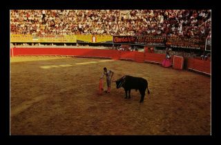 Dr Jim Stamps Bull Fight Arena Tijuana Mexico Postcard 1967