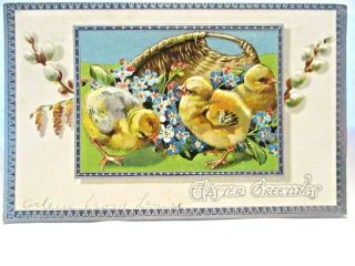 1910 Tuck Postcard Easter Greetings,  3 Baby Chicks At Basket Of Forget - Me - Nots