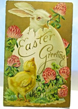 1910 Postcard Easter Greeting,  White Bunny In Egg,  Chick & Shamrocks,  Clover