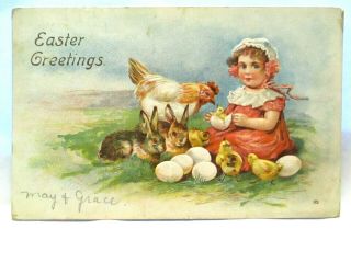 1907 Postcard Easter Greetings,  Little Girl With Chicken,  Chicks And Bunnies