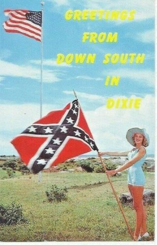 Americana - Greetings From Down South In Dixie - Stars & Bars - Cheesecake