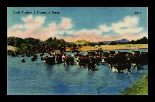 Dr Jim Stamps Us Cattle Fording Stream Texas Linen View Postcard