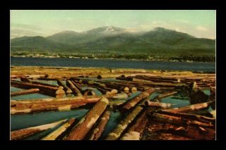 Dr Jim Stamps Us Timber Trees On River Washington View Postcard