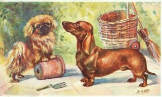 Vintage Art Postcard: Pekingese & Dachshund Dogs By Mabel Gear 5080