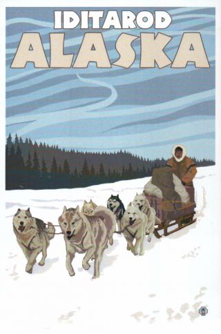 Iditarod Trail Sled Dog Race Alaska,  Sledding Mushing Ak Husky - Modern Postcard