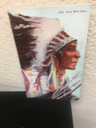 Vtg Native Americana Postcard Chief Wolf Robe American Indian C.  1908