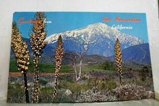 California Ca San Bernardino Greetings Postcard Old Vintage Card View Standard
