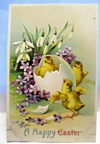 1910 Postcard Happy Easter,  3 Baby Chicks At Egg,  Violets