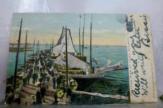Jersey Nj Yachting Atlantic City Postcard Old Vintage Card View Standard Pc