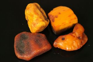 50.  1 Gr.  Natural Old Antique Butterscotch Egg Yolk Raw Baltic Amber Stones B871
