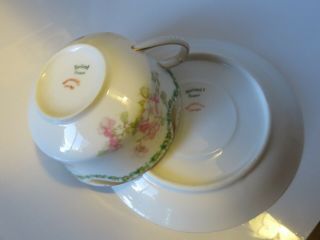 Antique Haviland Limoges France Mustache Tea Cup Saucer Schleiger 66 Pink Green 7