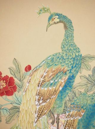 Chinese Painting Hanging Scroll Peacock Aged Art Ink China Vintage Old Pic C999