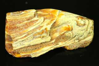 5.  7 gr.  NATURAL OLD Antique Butterscotch Egg Yolk Baltic Amber Stone B744 2