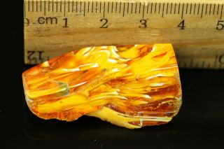 5.  7 gr.  NATURAL OLD Antique Butterscotch Egg Yolk Baltic Amber Stone B744 3