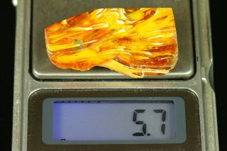 5.  7 gr.  NATURAL OLD Antique Butterscotch Egg Yolk Baltic Amber Stone B744 6