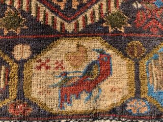 Authentic Hand Knotted historical Afghan Balouch Pictorial Wool Area Rug 6 x 4 5