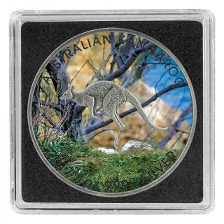 Australia 2017 1$ Australian Kangaroo 1 Oz Antique Coloured Silver Coin