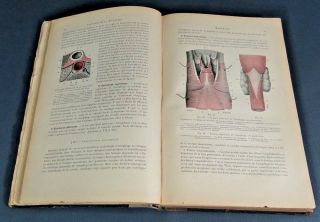 Antique French Medical L.  Testut Book Human Anatomy Digestive System Medicine