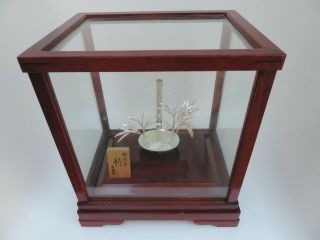 Finest Hand Crafted Signed Japanese Sterling Silver Bamboo Bonsai Tree Mitsunori