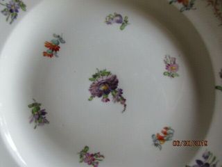Antique Germany German Meissen Porcelain Plate D - 8 in. 2