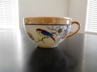 Vintage Japanese Teacup - Hand Painted - Occupied Japan
