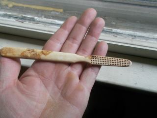 1860s Large Size Bone Toothbrush Dug In 1860s Victorian House Trash Pit