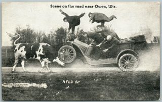 Owen Wi Car Accident W/ Cow Antique Postcard